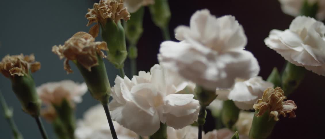 The flowers are white and green