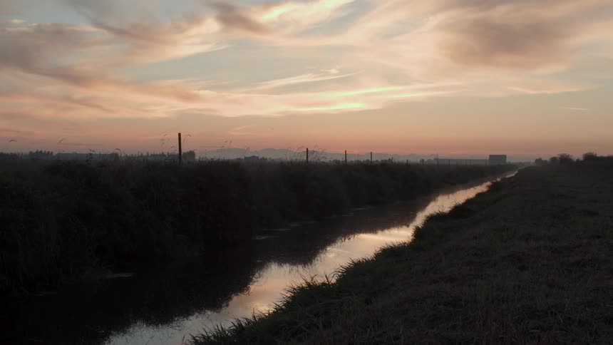 The small stream runs down the green field