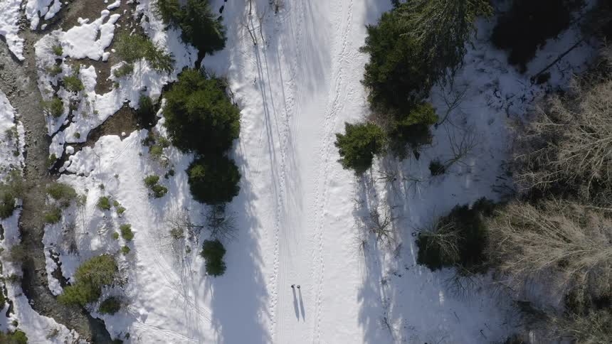 Two people are hiking through a snow-covered forest in daylight