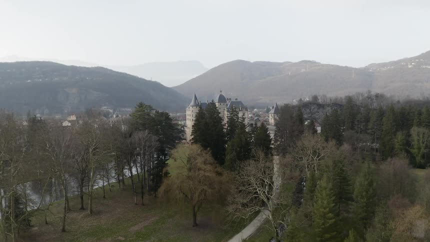 The tall trees line the mountains on a foggy day