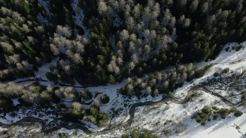 A river is winding through a snow-covered valley near a forest in daylight