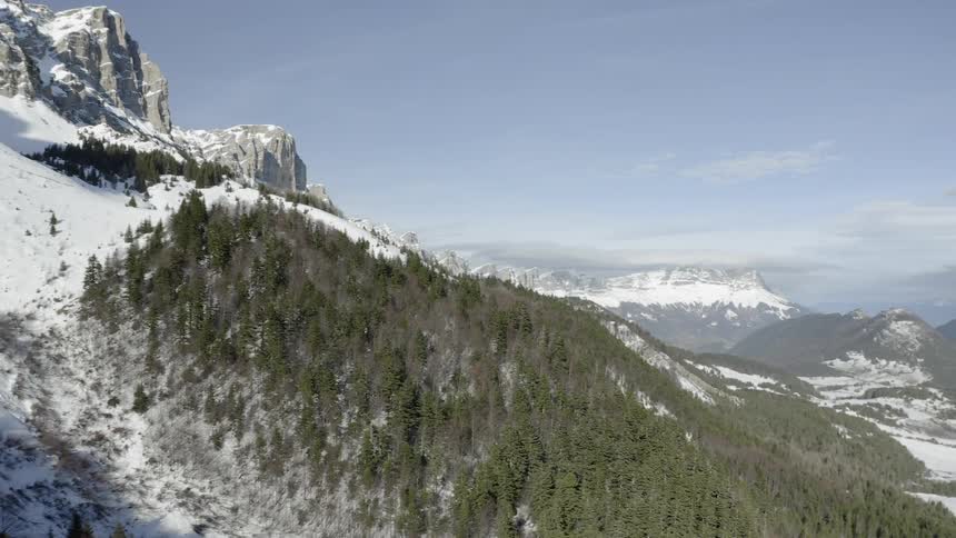 A mountain covered in trees and snow with a valley below it