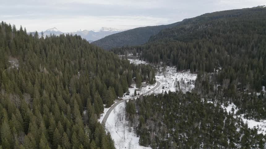The hills are covered with snow and trees