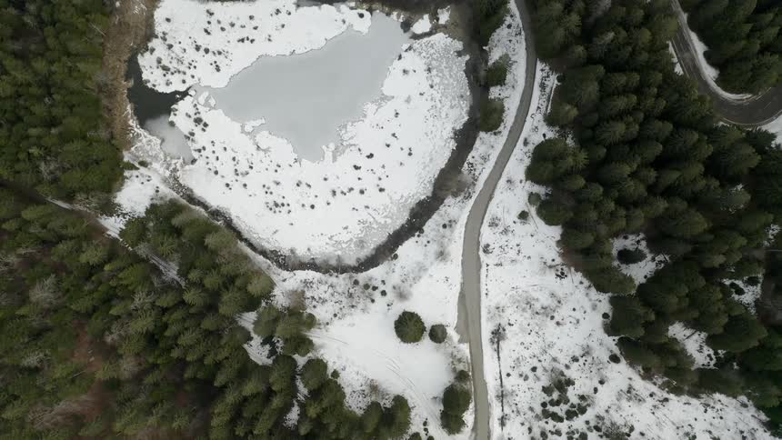 A road circles around a small lake in the middle of a forest