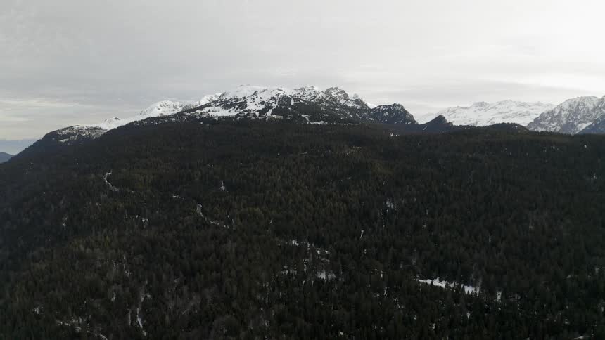 A forest covers the slopes of a snow-covered mountain range on a cloudy day
