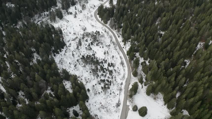 A car travels around the road near the snow covered forest