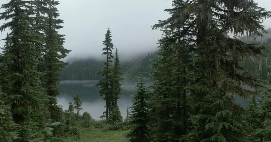 Lake surrounded by foggy hills and trees