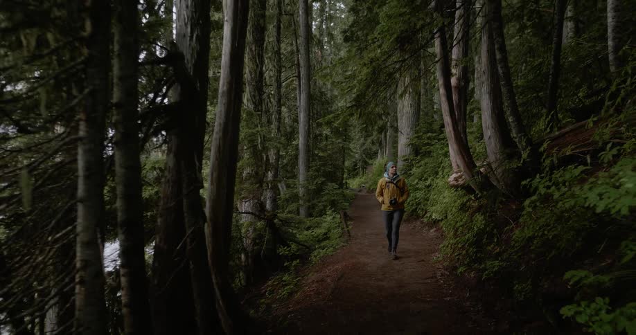 A person is walking on a dirt trail through a forest in daylight