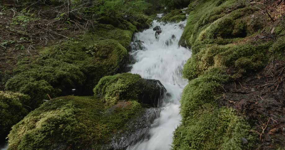 A stream is crashing over moss covered rocks in a forest in daylight