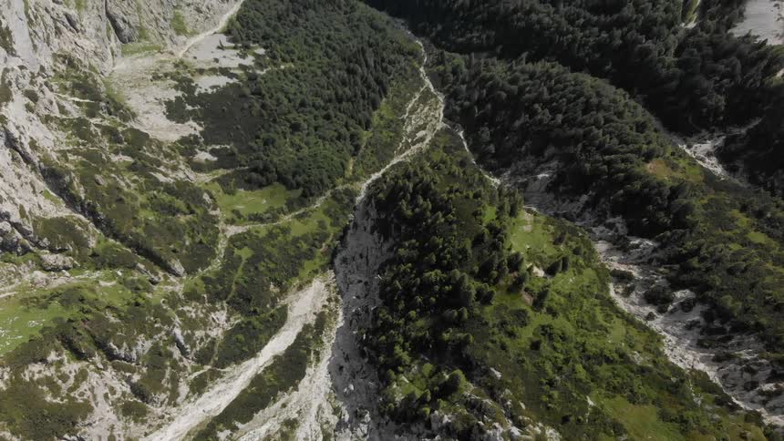 Mountainous area that has thick trees on some while hardly any on others