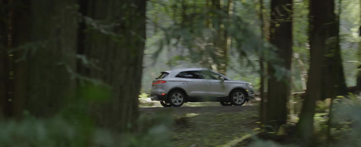 An suv travels on a forest road