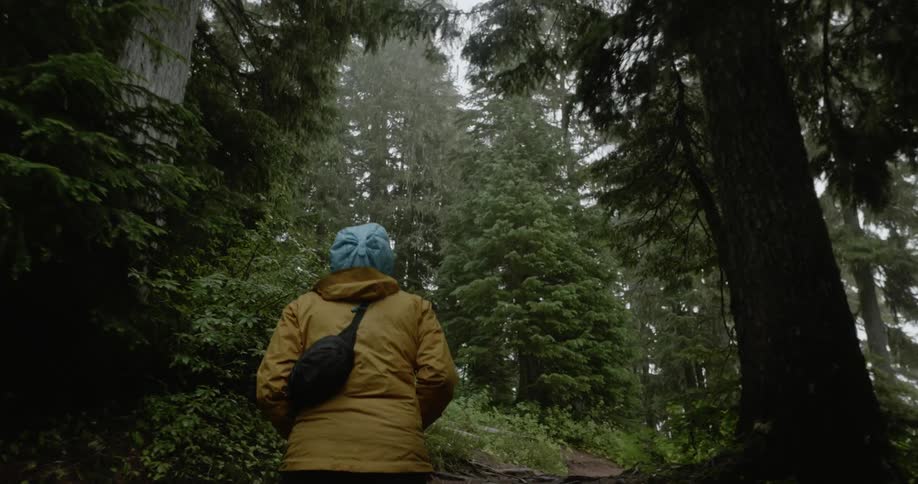 Woman walks through a forest on a cloudy day