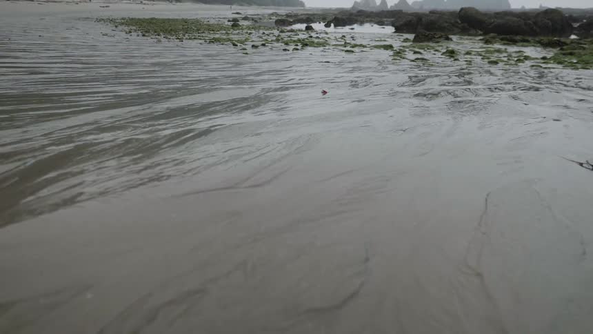 Water flows over mud on a misty day