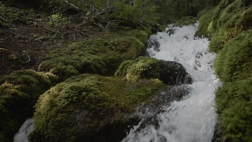 A stream is crashing over moss covered rocks in a forest in daylight