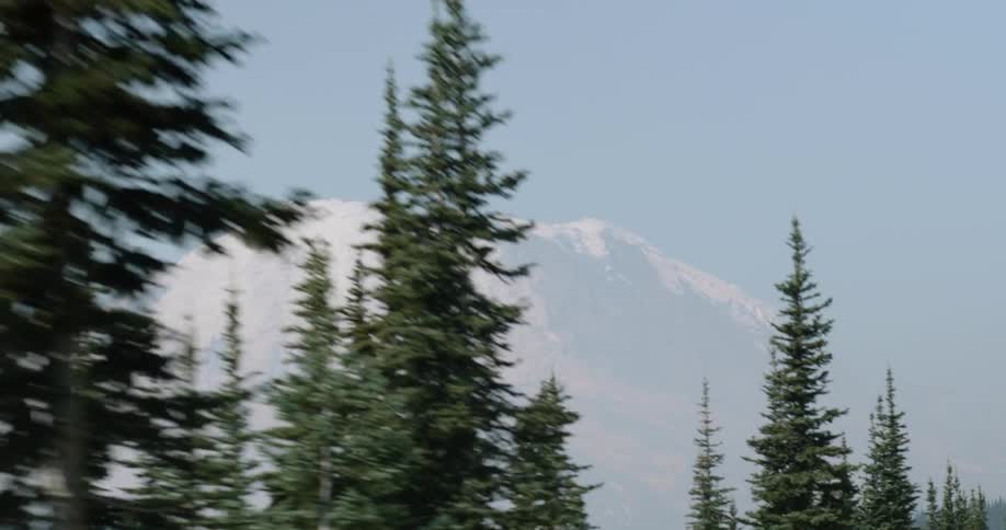 Large snowy mountain with pine trees in front of it