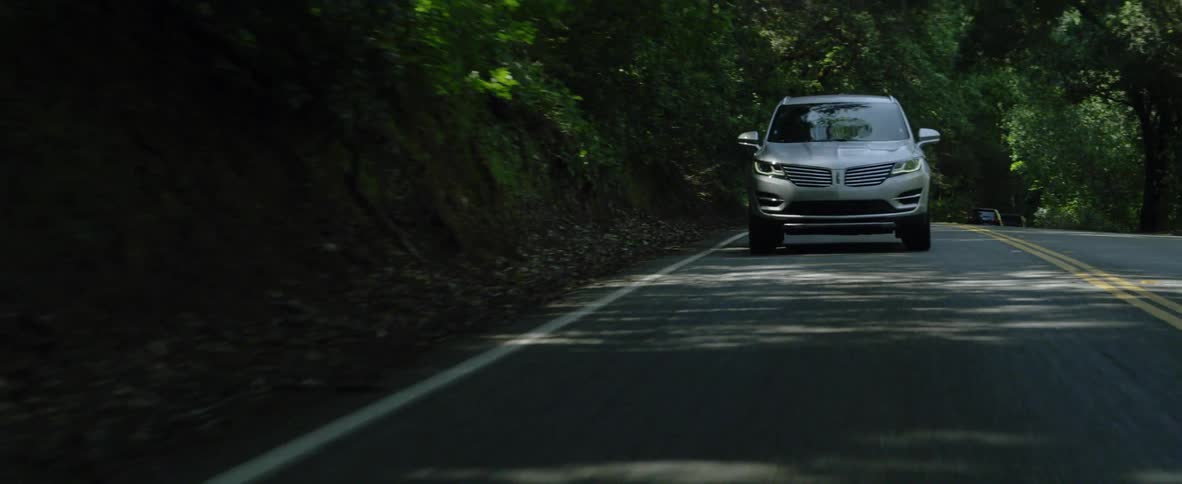 Cars drive through tree shaded road