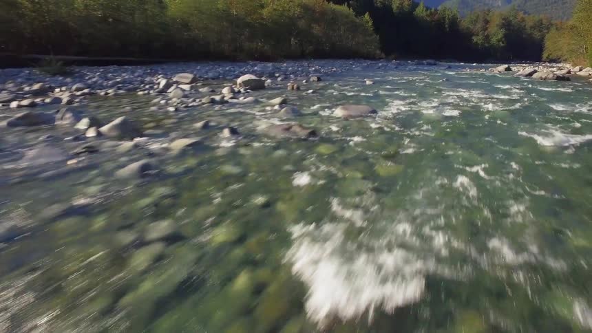 River water flows over rocks in a forest