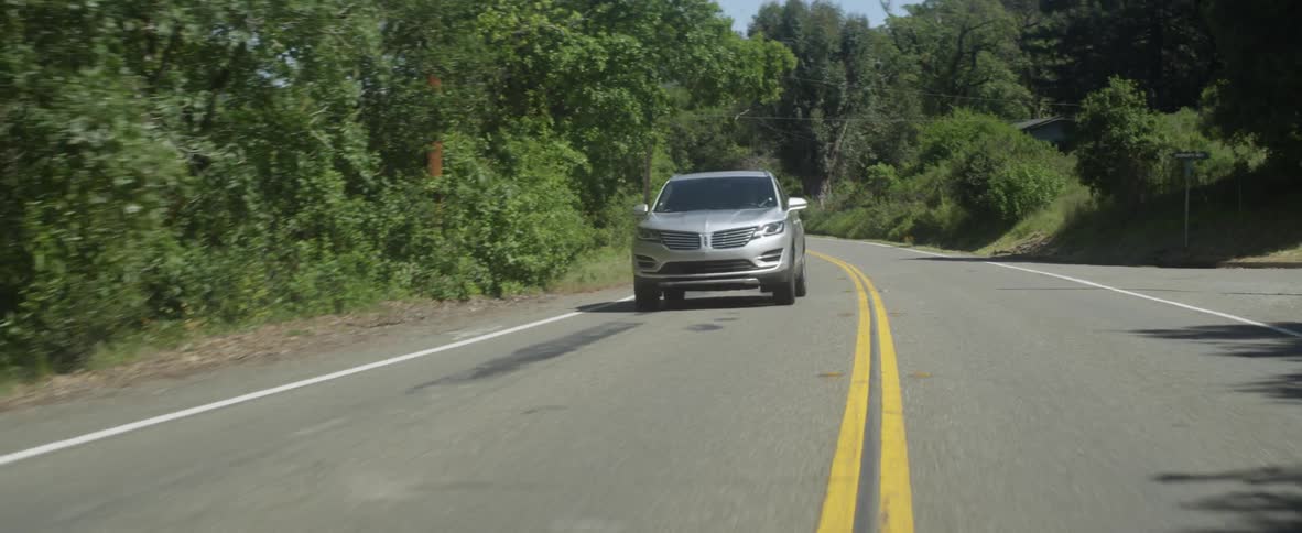 Car drives onto a country road lined with trees