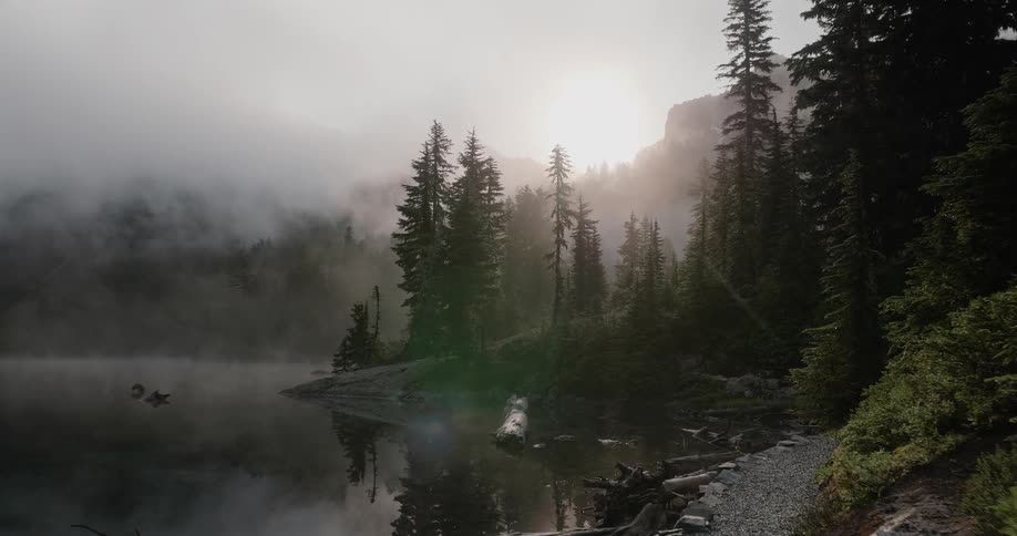 Fog hangs over the water as the sun rises over the forest hill