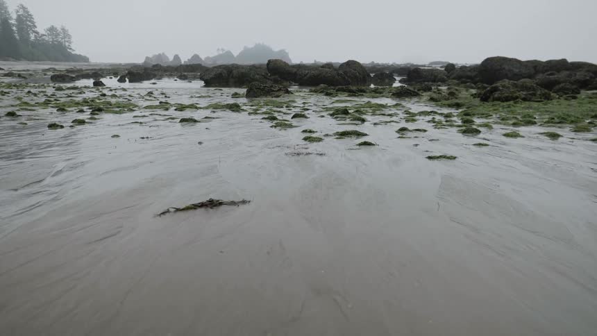 Water flows over mud on a misty day