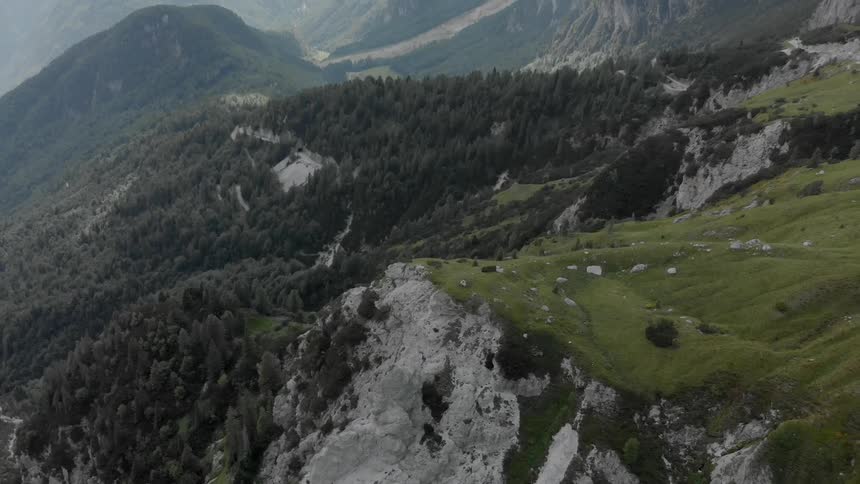 Pine trees grow on a rocky mountainside