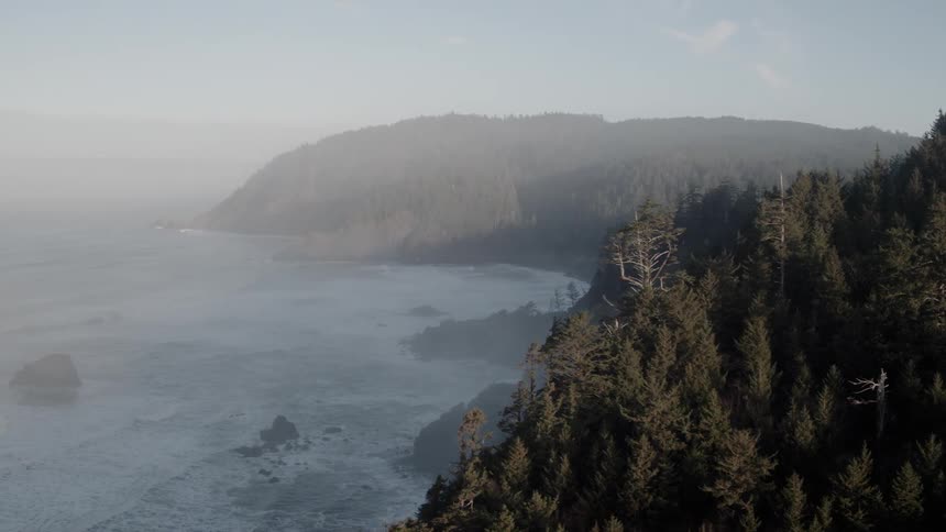 Waves are lapping a rugged coastline on a foggy day