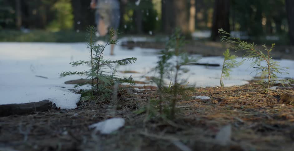 A man runs over snow in a forest