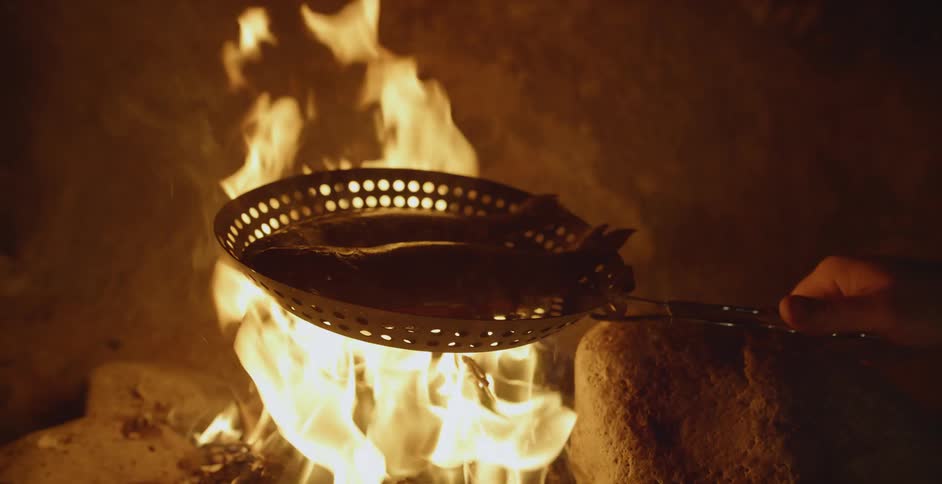 A person is cooking fish over a campfire at night