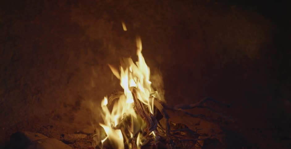 A person is putting a branch onto a campfire outside at night
