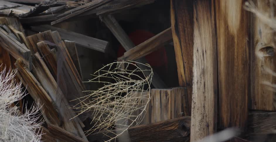 Dilapidated small building with brush in front of it