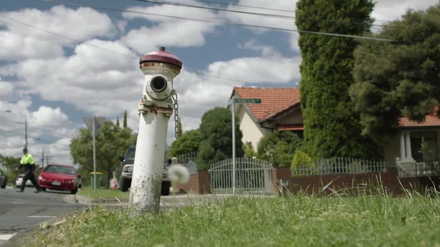 A car drives by a fire hydrant in a neighborhood