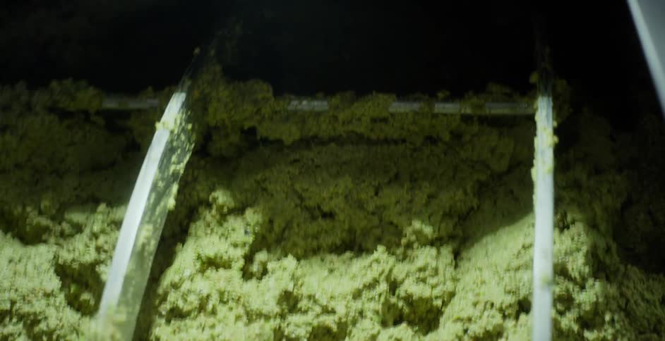 Machine rotates a green substance