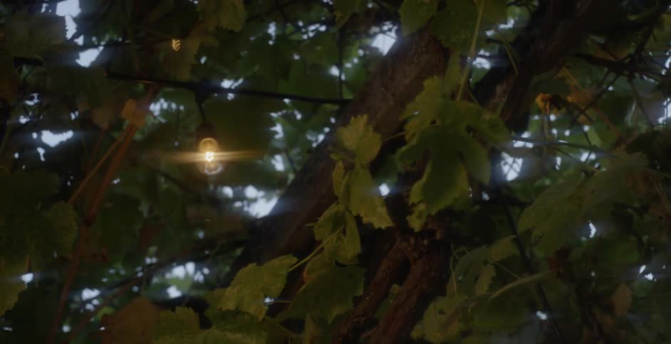 Lightbulb hanging from a tree branch shines bright