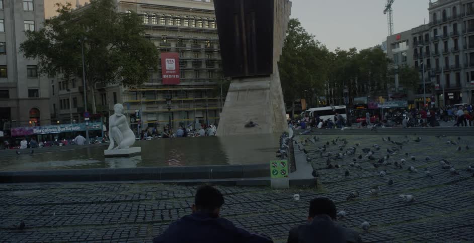 Pigeons gather by a fountain in the city