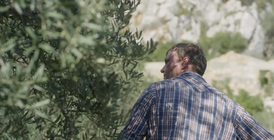 A man is using a hedge trimmer to trim a small tree