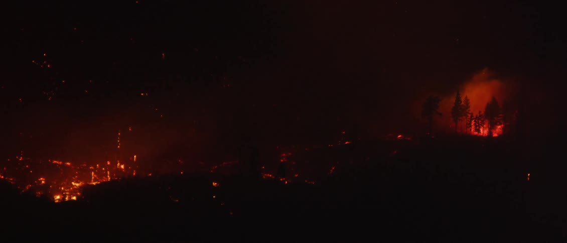 Smoke and embers burning in the woods at night