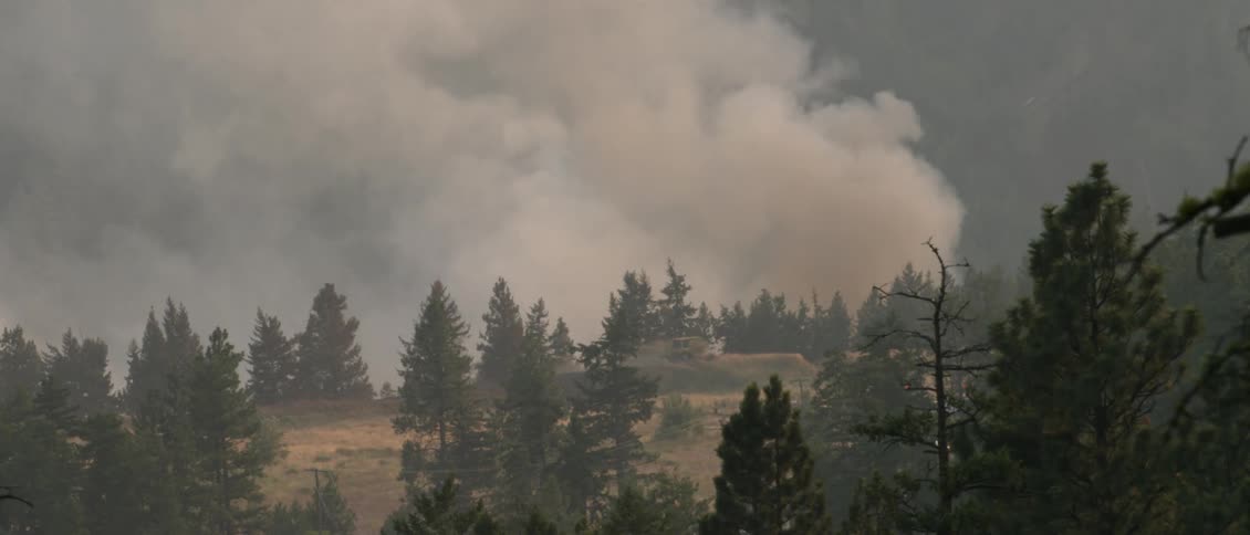 A fire burns on the mountain