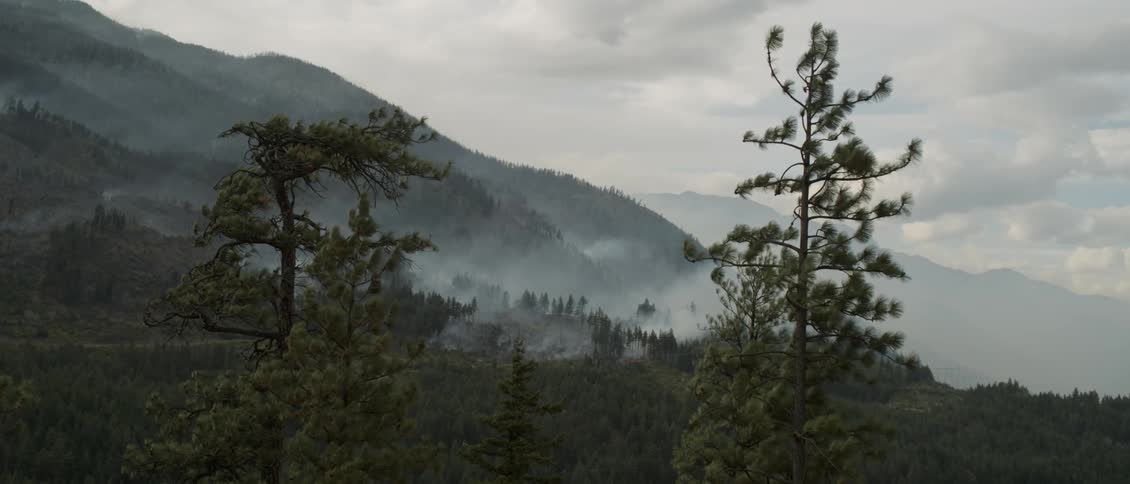Smoke rising from trees in forest of cloudy and windy day