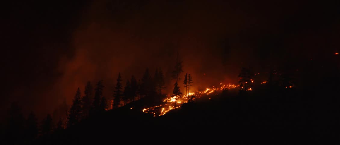 The fire is raging at night on the hill