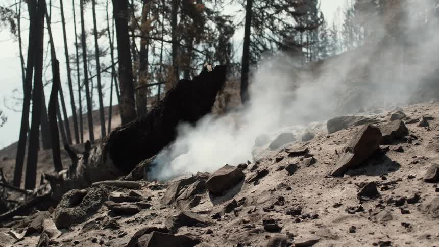 A piece of wood is burning out on the hillside