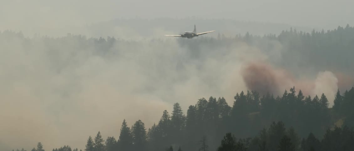 Smoke billows up from trees as airplane drops fire retardant