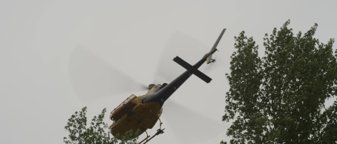 A helicopter flies just above the trees