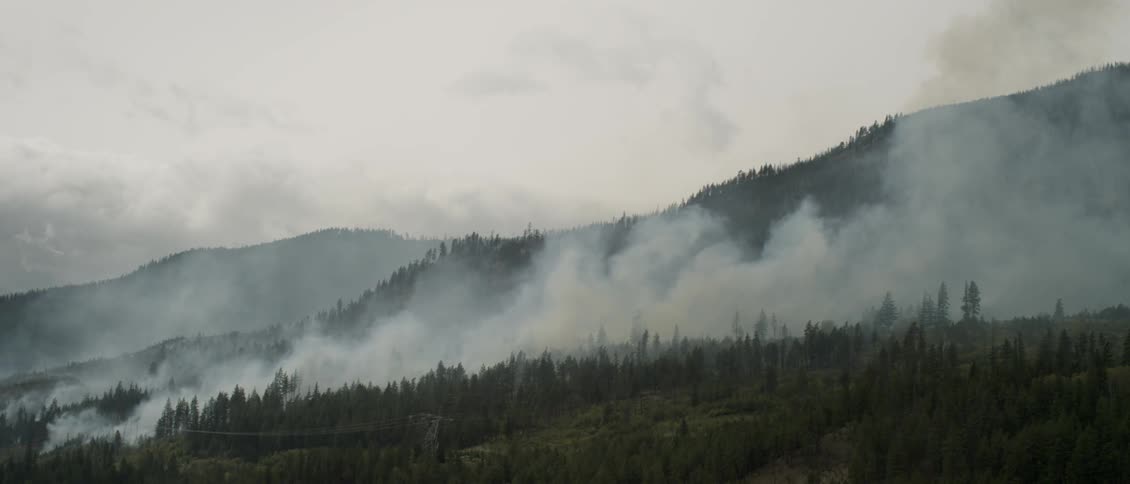 Smoke billows over tree covered hills on a cloudy day