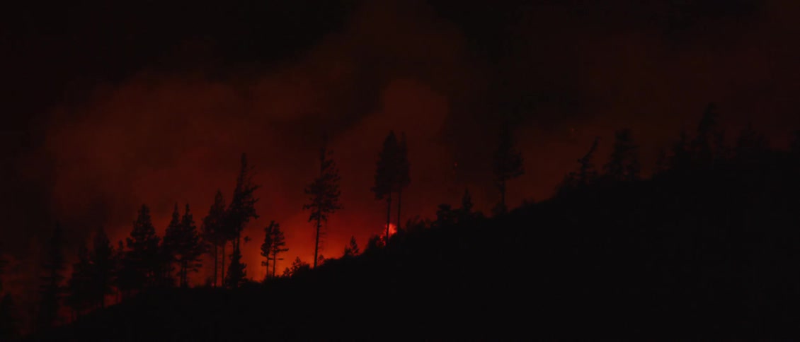 A forest fire is raging at night on a hillside