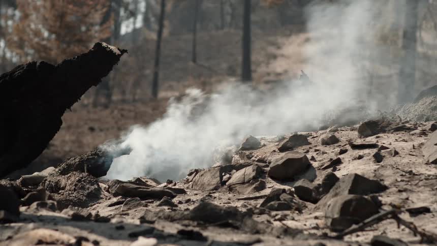 The smoke is slowly rising from the burned wood