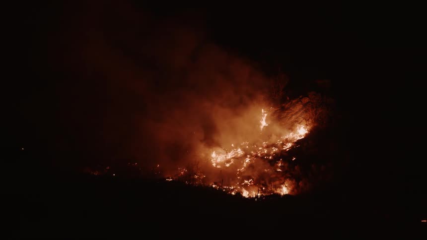 The forest is on fire at night