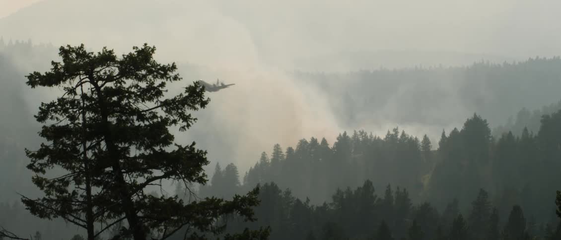 A plane dumps water on a forest fire