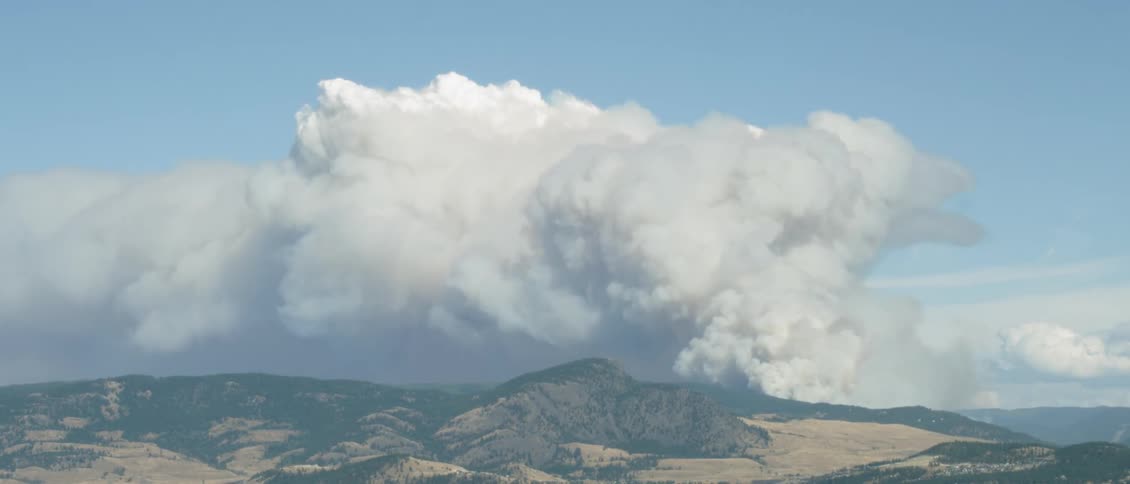 Smoke pours into the blue sky