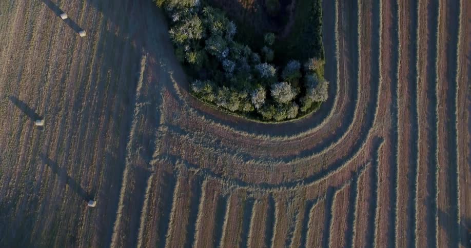 A tractor rides over farmland