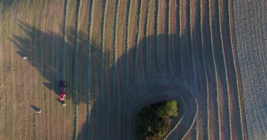 Hay bale rolls across plowed farmland